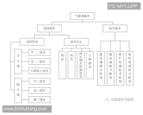 北京排球队的战术分析与控制能力的得失探讨