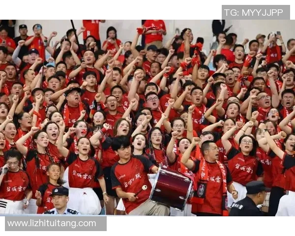 南京排球队实力引发热议球迷对球队表现的看法与争论