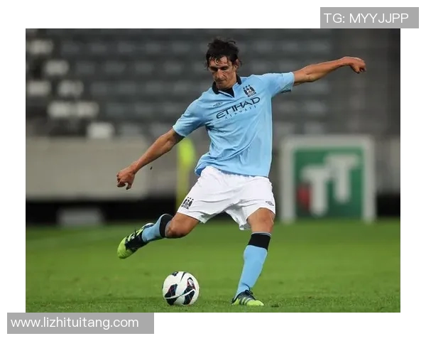 塞尔维亚足球明星萨维奇的辉煌历程与未来展望