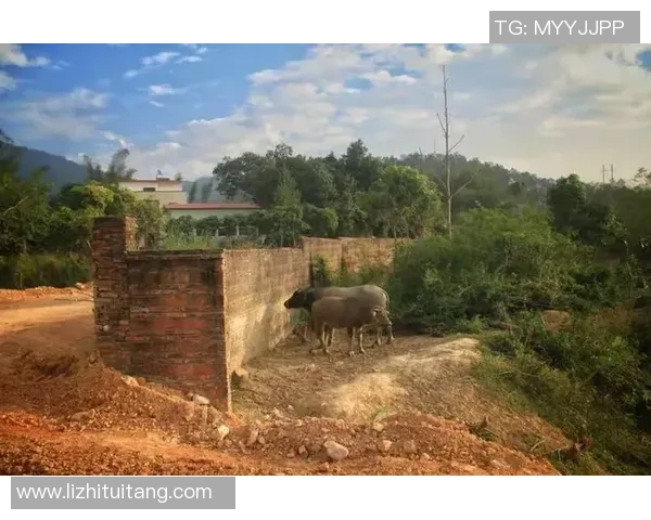 足球巨星背后的女人们盘点那些令人艳羡的足球明星女友与她们的故事