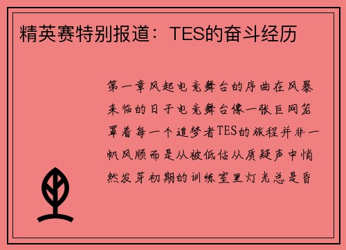 精英赛特别报道：TES的奋斗经历